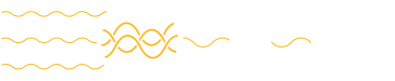 Carrier agnostic technology supporting multiple network providers